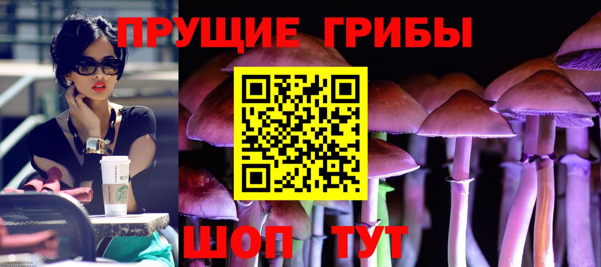 Псилоцибиновые грибы Psilocybe  Вход с VPN  Тельмана 